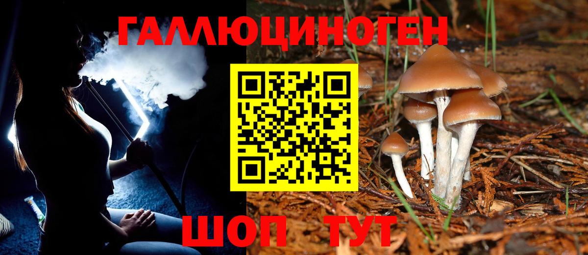 Галлюциногенные грибы Magic Shrooms  Вход с VPN  Фрязино 