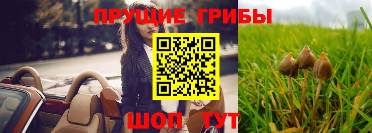 Галлюциногенные грибы Magic Shrooms Фрязино