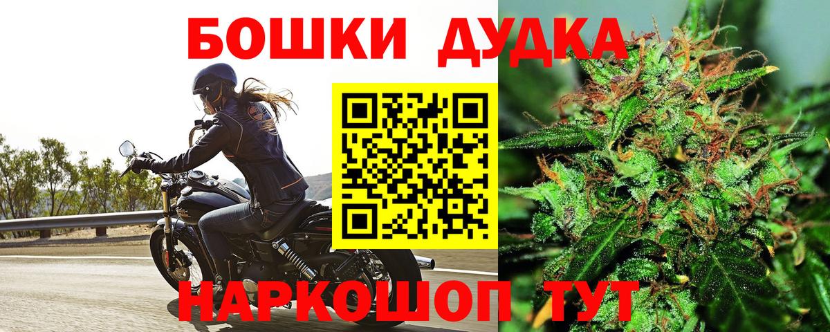 Фрязино  Шишки марихуана планчик  Вход с VPN  Бошки Шишки ГИДРОПОН  Марихуана сатива 